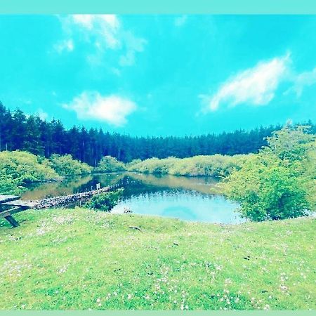 فيلا The Snug At Coed Y Gaer أوسويستري المظهر الخارجي الصورة