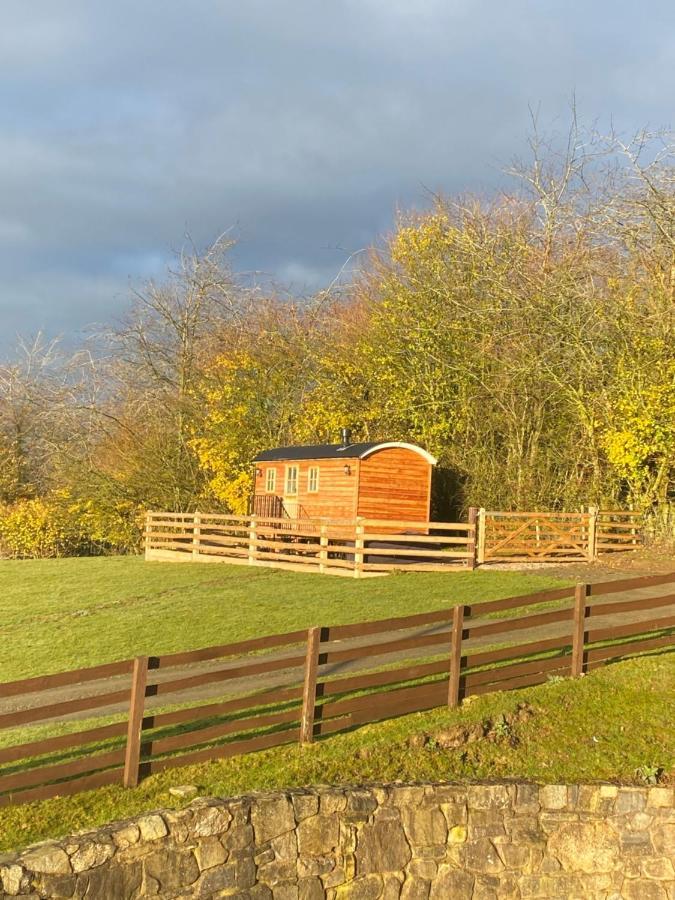 فيلا The Snug At Coed Y Gaer أوسويستري المظهر الخارجي الصورة